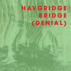 Havgridge Bridge (Denial)