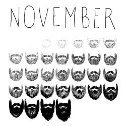 DORR November "NO-Shave" chart