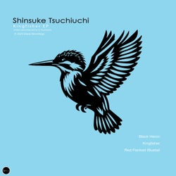 Kingfisher EP