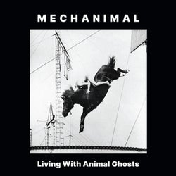 Living with Animal Ghosts