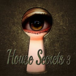 House Secrets, Vol.3 (Best Selection of Clubbing House Tracks)