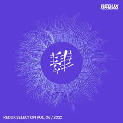 Redux Selection, Vol. 6 / 2022