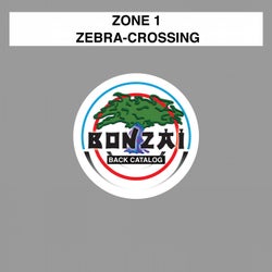 Zebra-Crossing