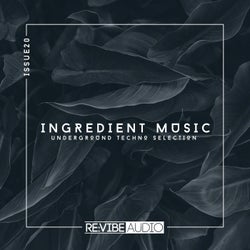Ingredient Music, Vol. 20