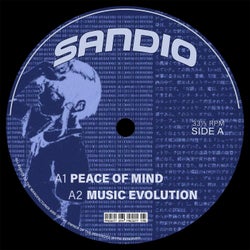 Peace Of Mind/Music Evolution