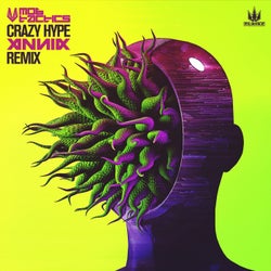 Crazy Hype (Annix Remix)