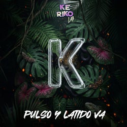 Cover art for Pulso y Latido
