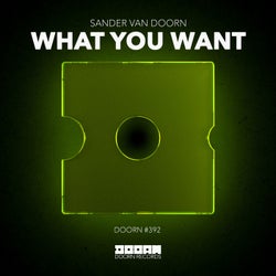 What You Want (Extended Mix)