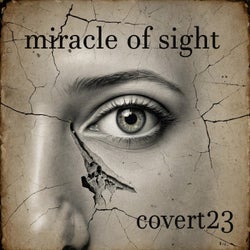Miracle of Sight