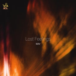 Lost Feelings