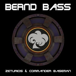 Bernd Bass