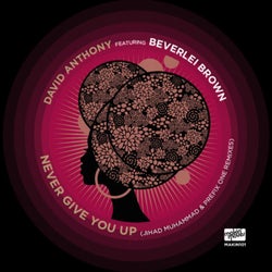 Never Give You Up (Remixes) [feat. Beverlei Brown]