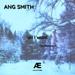 all i want (Remixes)