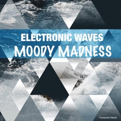 Electronic Waves Moody Madness