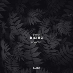 Rising Remixes EP