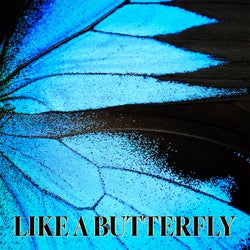 Like a Butterfly