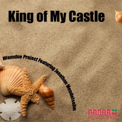 King Of My Castle