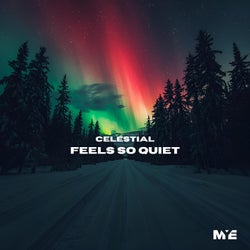 Feels So Quiet