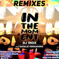 In The Moment (Remixes)