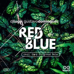 No Questions & Red Blue Chart Septiembre 2020