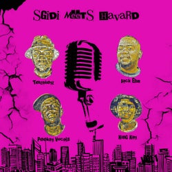 Sgidi Meets Havard