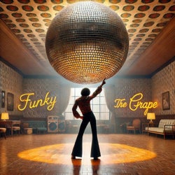 Funky (Extended Mix)