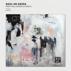 Soul De Anima