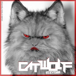 CATWOLF Release hits from JO3YDGTL