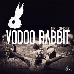 Vodoo Rabbit EP