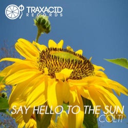 Say Hello To The Sun EP