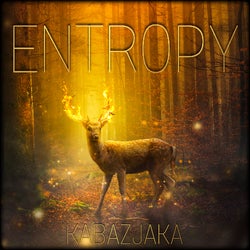 ENTROPY