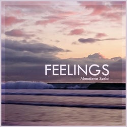 Feelings