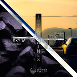 Intertwines - Skyda / Joe Meils