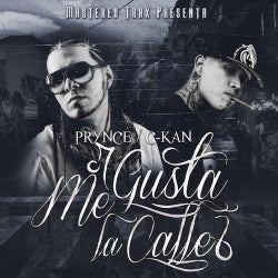 Me Gusta La Calle (feat. Prynce El Armamento) - Single