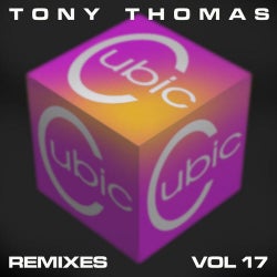 T T Remixes Vol. 17