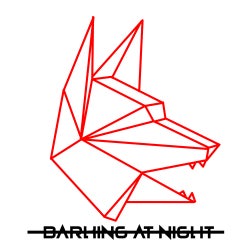 Barking At Night
