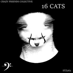 16 Cats
