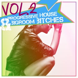 Progressive House & Bigroom Bitches, Vol. 2
