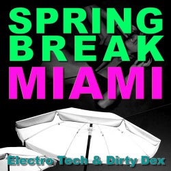 Spring Break Miami