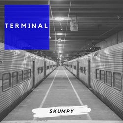 Terminal