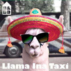 Llama Ina Taxi