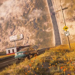 Roadside Flowers