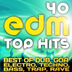 40 EDM Top Hits 2013 (Best of Dubstep, Electro, Psytrance, Progressive, Goa, Techno, Bass, Trap)