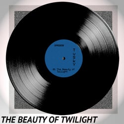 The Beauty Of Twilight - Single