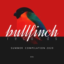 Bullfinch Summer 2020 Compilation