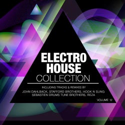 Electro House Collection Volume 12