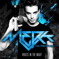 Voices in the Night (feat. Pete Wedge)