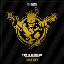 What Is Hardcore? - Original Mix
