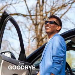 Goodbye