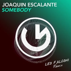 Somebody (Leo Falconi Remix)